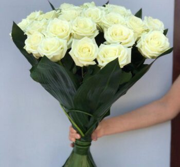 Роза сорта “White Naomi” 25 шт, голландская зелень «аспидистра»