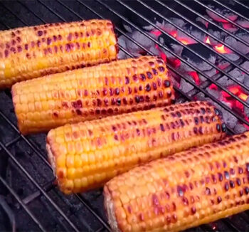 Шашлык из Кукурузы